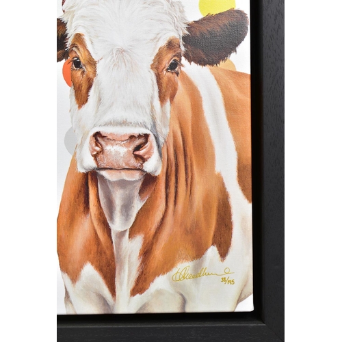 313 - HAYLEY GOODHEAD (BRITISH CONTEMPORARY) 'DAMIENS HERD' a limited edition box canvas print 38/195 of c... 