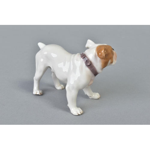 141 - AN EARLY 20TH CENTURY MEISSEN FIGURE OF A BULLDOG, model No 128, modelled by Eric Hoesel, blue cross... 