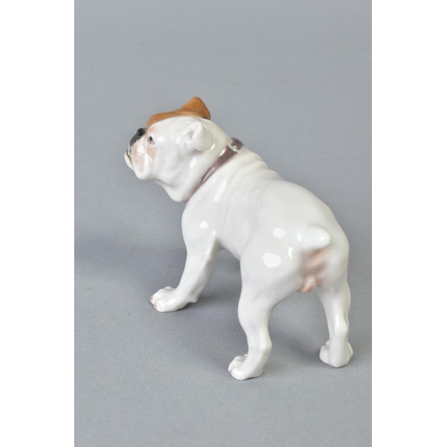 141 - AN EARLY 20TH CENTURY MEISSEN FIGURE OF A BULLDOG, model No 128, modelled by Eric Hoesel, blue cross... 