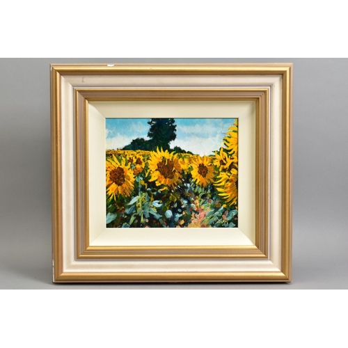 301 - TIMMY MALLETT (BRITISH CONTEMPORARY) 'THE SUNFLOWER FIELD', signed bottom right, oil on board, appro... 