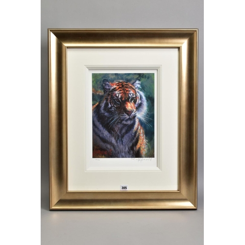 305 - ROLF HARRIS (AUSTRALIAN 1930) 'TIGER IN THE SUN' a limited edition print on paper 89/195, signed to ... 