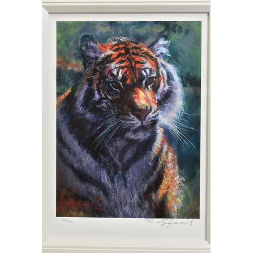 305 - ROLF HARRIS (AUSTRALIAN 1930) 'TIGER IN THE SUN' a limited edition print on paper 89/195, signed to ... 