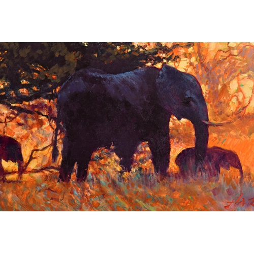 313 - ROLF HARRIS (AUSTRALIAN 1930) 'BACKLIT GOLD' an artist proof print 10/20 Elephants in the Bush, sign... 