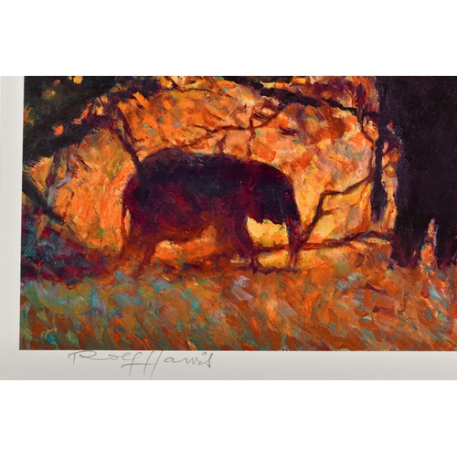 313 - ROLF HARRIS (AUSTRALIAN 1930) 'BACKLIT GOLD' an artist proof print 10/20 Elephants in the Bush, sign... 