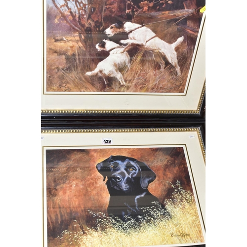 429 - TWO RICHARD BRITTON PRINTS OF LABRADORS, together with a print of Terriers, indistinct signature, al... 