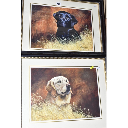 429 - TWO RICHARD BRITTON PRINTS OF LABRADORS, together with a print of Terriers, indistinct signature, al... 