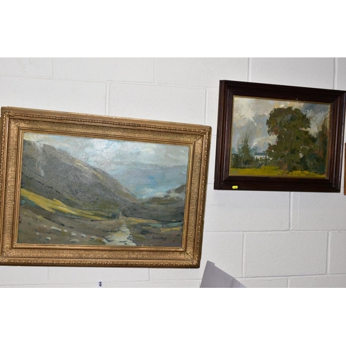 454 - IEUAN MEIRION PUGH (WALES 1939), a Welsh Valley landscape, signed bottom right, oil on canvas, frame... 