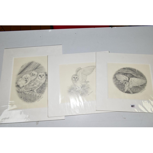 467 - STEVE MACHIN (BRITISH CONTEMPORARY), three pencil sketches of Owls, signed, mounted, unframed, large... 