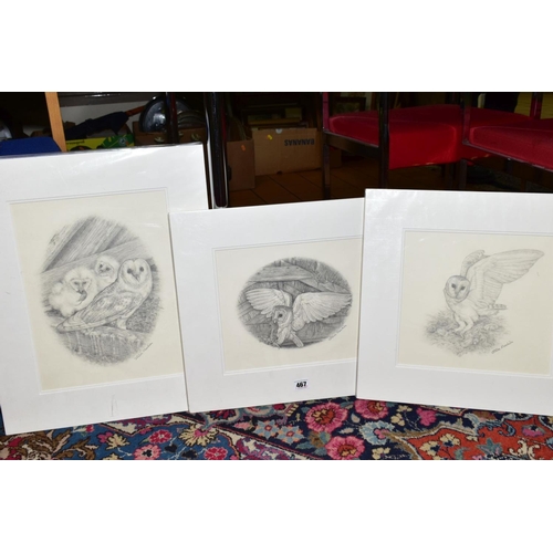 467 - STEVE MACHIN (BRITISH CONTEMPORARY), three pencil sketches of Owls, signed, mounted, unframed, large... 