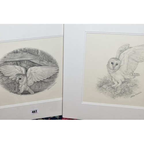 467 - STEVE MACHIN (BRITISH CONTEMPORARY), three pencil sketches of Owls, signed, mounted, unframed, large... 