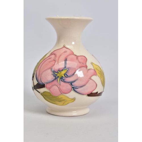 555 - A MOORCROFT POTTERY SQUAT BALUSTER VASE, cream ground with pink magnolia, crazed, impressed and pain... 