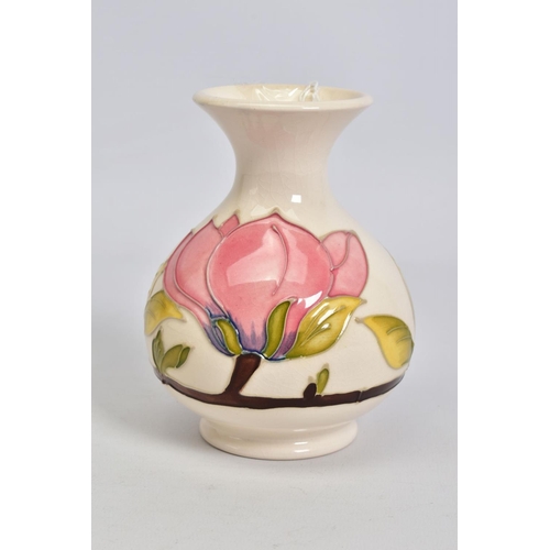 555 - A MOORCROFT POTTERY SQUAT BALUSTER VASE, cream ground with pink magnolia, crazed, impressed and pain... 