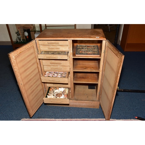 143 - A MID 20TH CENTURY LINED OAK COLLECTORS CABINET, containing trays and drawers of shells, fossils and... 