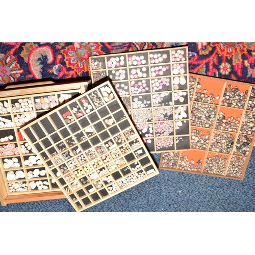 143 - A MID 20TH CENTURY LINED OAK COLLECTORS CABINET, containing trays and drawers of shells, fossils and... 