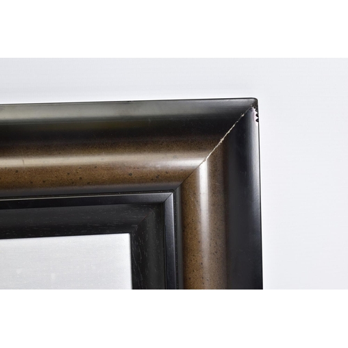 301 - JONATHAN TRUSS (BRITISH 1960) 'COLD FEET' limited edition print, 57/195 of a penguin chick, signed b... 