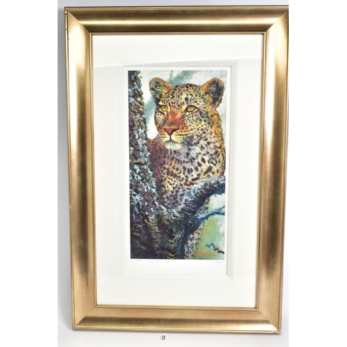 313 - ROLF HARRIS (AUSTRIALIA 1930) 'ALERT FOR PREY', a limited edition print 127/195, a leopard in a tree... 