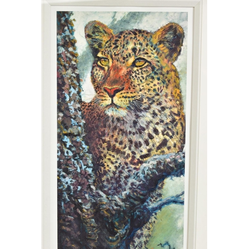 313 - ROLF HARRIS (AUSTRIALIA 1930) 'ALERT FOR PREY', a limited edition print 127/195, a leopard in a tree... 