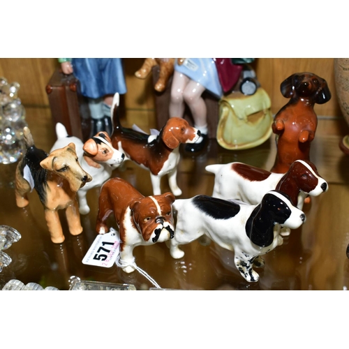 571 - SEVEN BESWICK SMALL DOG FIGURES, comprising two Springer Spaniels, a Jack Russell, a Beagle (Ch. Wen... 