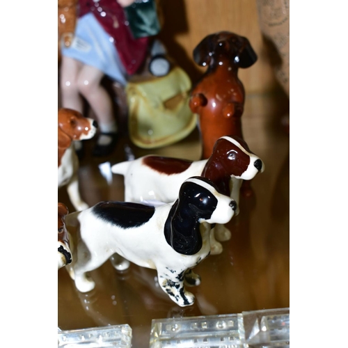 571 - SEVEN BESWICK SMALL DOG FIGURES, comprising two Springer Spaniels, a Jack Russell, a Beagle (Ch. Wen... 