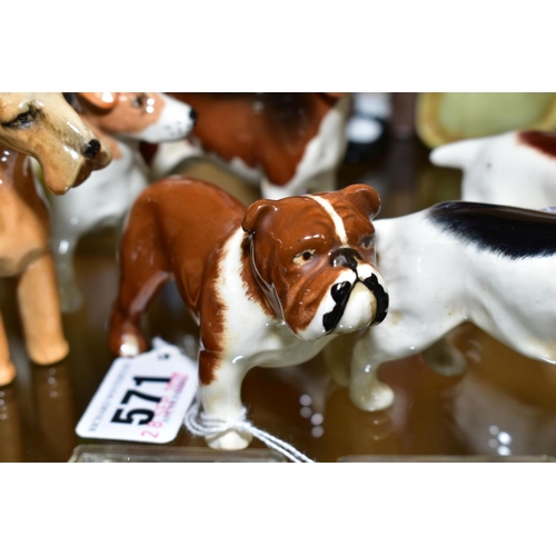 571 - SEVEN BESWICK SMALL DOG FIGURES, comprising two Springer Spaniels, a Jack Russell, a Beagle (Ch. Wen... 