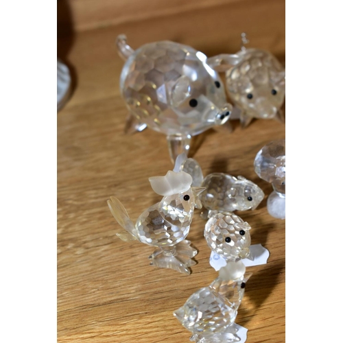 582 - A COLLECTION OF SWAROVSKI CRYSTAL ANIMALS AND BIRDS, including hedgehogs, mice, beavers, pigs, bee b... 