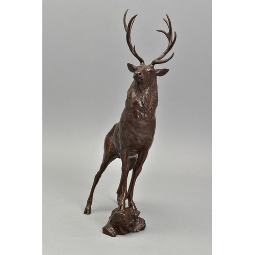 328 - MICHAEL SIMPSON (BRITISH CONTEMPORARY) 'MONARCH-STAG' A limited edition Bronze sculpture of Deer 161... 