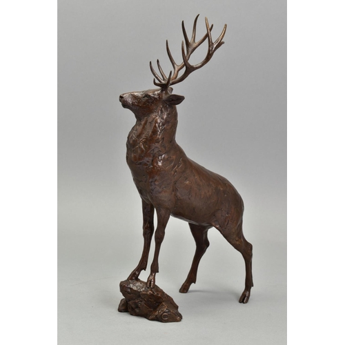 328 - MICHAEL SIMPSON (BRITISH CONTEMPORARY) 'MONARCH-STAG' A limited edition Bronze sculpture of Deer 161... 