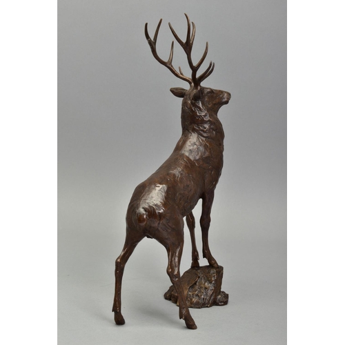 328 - MICHAEL SIMPSON (BRITISH CONTEMPORARY) 'MONARCH-STAG' A limited edition Bronze sculpture of Deer 161... 