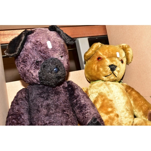 380 - TWO LARGE TEDDY BEARS, both unmarked and circa 1970's, golden plush one has vertically stitched nose... 