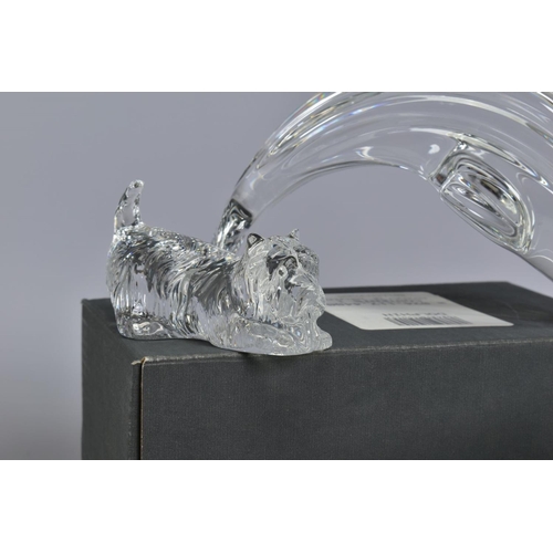 470 - A GROUP OF WATERFORD CRYSTAL ANIMAL FIGURES, comprising recumbant lion, length 17.5cm, boxed Dolphin... 