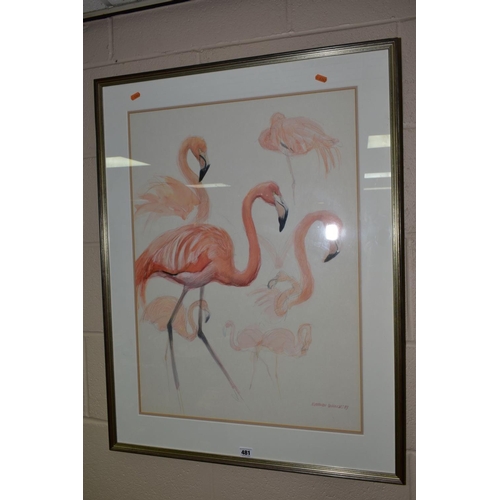 481 - MATTHEW HILLIER (BRITISH 1958) a study of pink flamingos, signed and dated (19)89, pencil and waterc... 