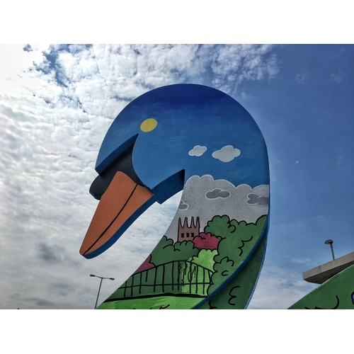 17 - SWAN 'NIGHT & DAY', Artist Lesley Bushell, Painted by Heather Horsley, Sponsor Trent & Dove Housing,... 