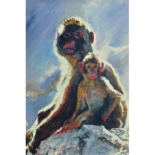 301 - ROLF HARRIS (AUSTRALIAN 1930) 'BACKLIT BABOON - GIBRALTAR' a limited edition print 54/75, signed bot... 