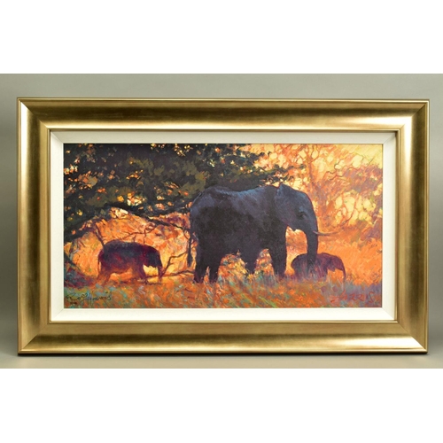 305 - ROLF HARRIS (AUSTRALIAN 1930) 'BACKLIT GOLD' a limited edition print 27/195 depicting elephants in t... 