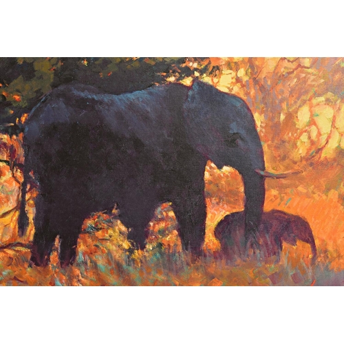 305 - ROLF HARRIS (AUSTRALIAN 1930) 'BACKLIT GOLD' a limited edition print 27/195 depicting elephants in t... 