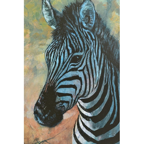 308 - ROLF HARRIS (AUSTRALIAN 1930) 'YOUNG ZEBRA', a limited edition print on deluxe canvas 59/75, signed ... 