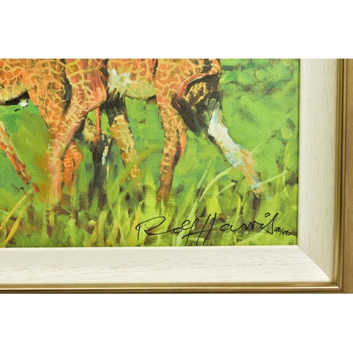 314 - ROLF HARRIS (AUSTRALIAN 1930) 'FOUR GIRAFFES' a limited edition print 48/195, signed bottom right, n... 