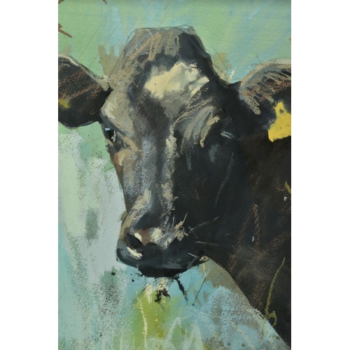 320 - JAMES BARTHOLOMEW (BRITISH CONTEMPORARY) 'No 10', a study of a Holstein-Fresian cow, signed bottom r... 