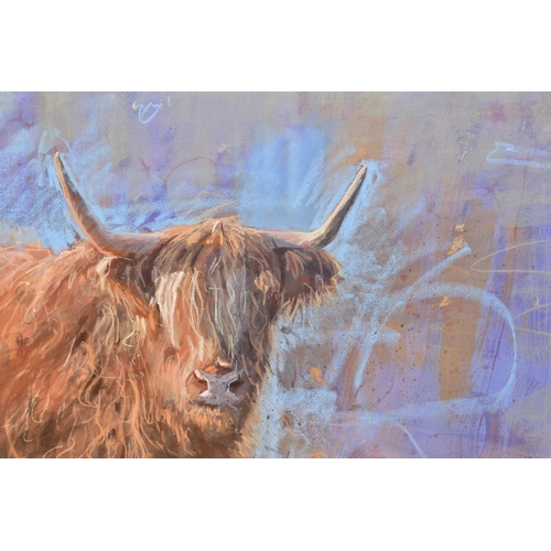 322 - JAMES BARTHOLOMEW (BRITISH CONTEMPORARY) 'HIGHLAND PURPLE', a study of a highland cow against a colo... 