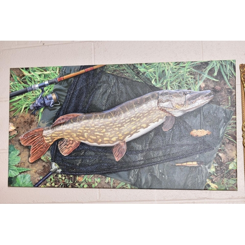 334 - GARRY CARTWRIGHT (BRITISH CONTEMPORARY), a study of a Pike in a landing net signed G Cartwright bott... 