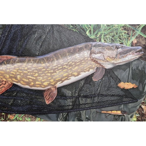 334 - GARRY CARTWRIGHT (BRITISH CONTEMPORARY), a study of a Pike in a landing net signed G Cartwright bott... 