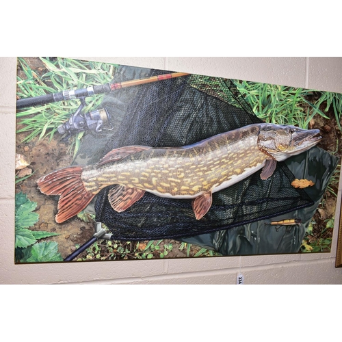 334 - GARRY CARTWRIGHT (BRITISH CONTEMPORARY), a study of a Pike in a landing net signed G Cartwright bott... 