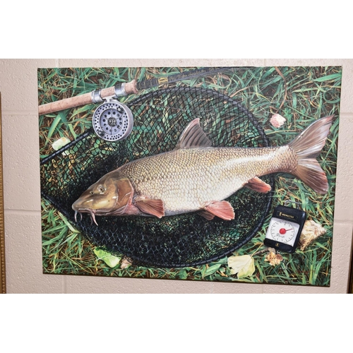 336 - GARRY CARTWRIGHT (BRITISH CONTEMPORARY), a 'Barbel Lies in the Keepnet' signed bottom right, signed ... 