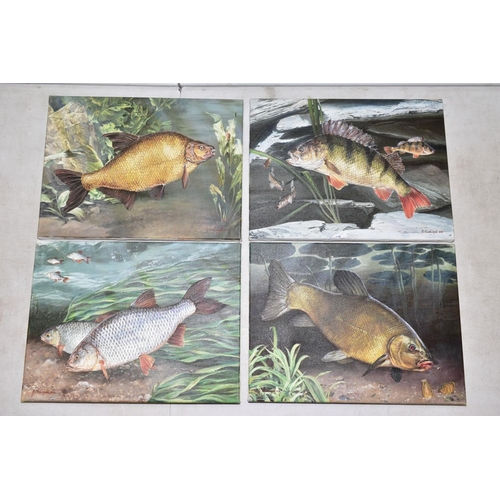 347 - GARY CARTWRIGHT (BRITISH CONTEMPORARY), four oils on canvas depicting fish in their natural habitat ... 