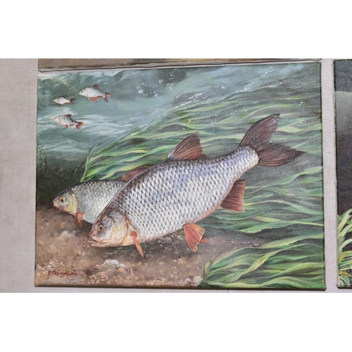 347 - GARY CARTWRIGHT (BRITISH CONTEMPORARY), four oils on canvas depicting fish in their natural habitat ... 