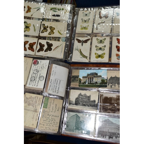 531 - POSTCARDS, two postcard albums containing approximately 230 Edwardian - early 20th century postcards... 