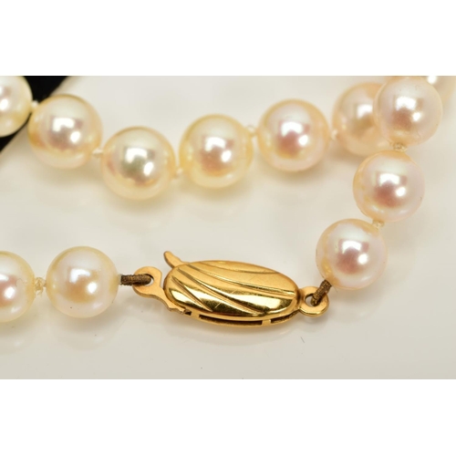 74 - A CULTURED PEARL STRAND NECKLACE, each pearl between approximately 6.0mm and 6.4mm, fitted to a yell... 