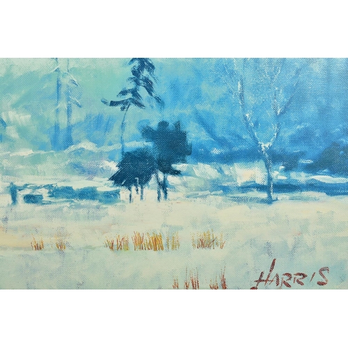 323 - ROLF HARRIS (AUSTRALIAN 1930) 'SNOW ON MARSHY GROUND' a limited edition print of a Winter landscape ... 