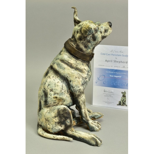 327 - APRIL SHEPHERD (BRITISH CONTEMPORARY) 'EVER HOPEFUL' an artist proof sculpture of a dog 17/20, impre... 