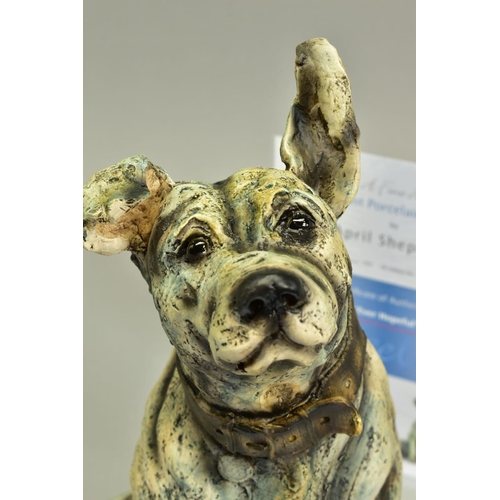 327 - APRIL SHEPHERD (BRITISH CONTEMPORARY) 'EVER HOPEFUL' an artist proof sculpture of a dog 17/20, impre... 